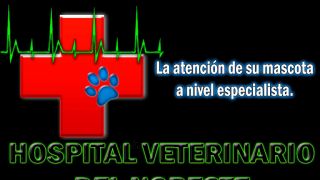 servicio veterinario de emergencia heroica matamoros Hospital Veterinario Del Noreste