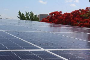 proveedor de sistemas solares de agua caliente merida PROSOLECO, Paneles Solares y Contenedores para Residuos