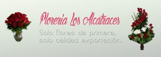 floreria merida Floreria Los Alcatraces