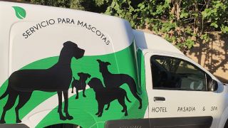 guarderia para perros merida Green Pets Resort