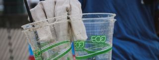 servicio de recoleccion de residuos merida Ecología y Manejo de Residuos