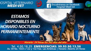 servicio veterinario de emergencia merida Hospital Veterinario VETERINUM