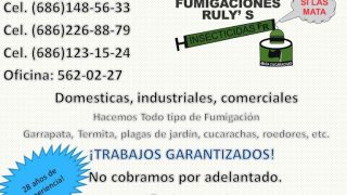 empresa de fumigacion y control de plagas mexicali Fumigaciones Ruly's