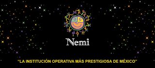 organizacion sin fines de lucro naucalpan de juarez Fundación Nemi, A.C.