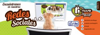 guarderia para perros naucalpan de juarez Nuugi Interlomas hotel mascotas, guardería y estética