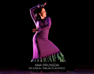 teatro de flamenco naucalpan de juarez Juncal Tablao Flamenco