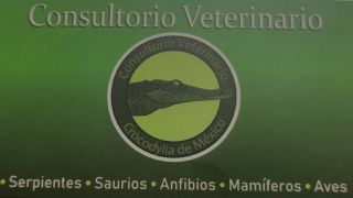 restaurante especializado en tortuga suppon nezahualcoyotl Veterinaria Crocodylía De México
