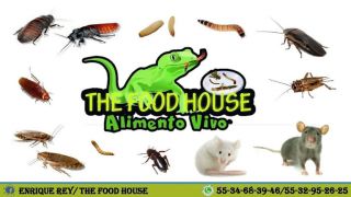 tienda de suministros para restaurantes nezahualcoyotl The Food House Alimento Vivo