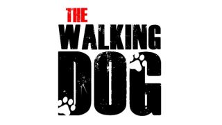 paseador de perros nezahualcoyotl The Walking Dog