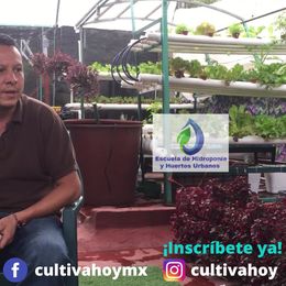 proveedor de equipos para cultivos hidroponicos nezahualcoyotl Escuela de Hidroponia CDMX