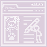 organizacion de proteccion de animales nezahualcoyotl Asociación Mexicana de Animales de Servicio, A.C. (AMAS México)