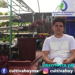 proveedor de equipos para cultivos hidroponicos nezahualcoyotl Escuela de Hidroponia CDMX