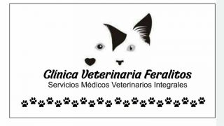 servicio veterinario de emergencia nezahualcoyotl CLINICA VETERINARIA FERALITOS
