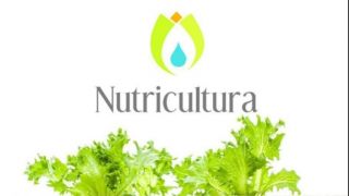 proveedor de equipos para cultivos hidroponicos nezahualcoyotl Nutricultura Hydro Veggies