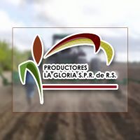 organizacion agricola reynosa Productores La Gloria S.P.R. de R.S.