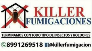 empresa de fumigacion y control de plagas reynosa Fumigaciones Killer