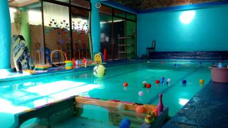 escuela de natacion santiago de queretaro Acuática Álamos
