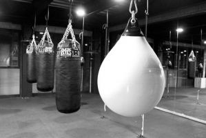 ring de boxeo tlalnepantla de baz Escuela de Box Las Arboledas - EL REY