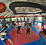 escuela de kickboxing tlaquepaque Blackbird House MMA