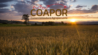 mayorista de arroz tlaquepaque Coapor Mexico