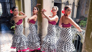 escuela de flamenco tlaquepaque FLAMENCO VICTORIA DUAR