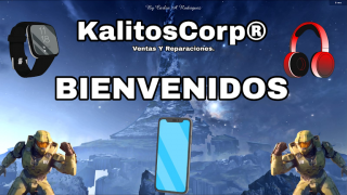 servicio de comercio electronico torreon KalitosCorp