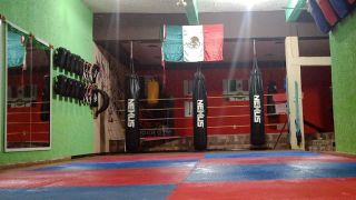 gimnasio de boxeo tuxtla gutierrez TIGERGYMLATIN