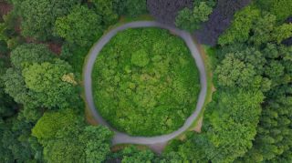 traffic circle in a forest