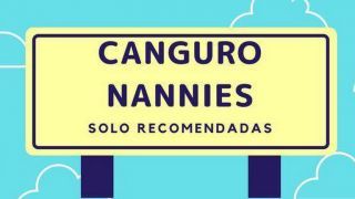 asesor educativo zapopan Canguro Nannies