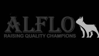 cuidador de mascotas zapopan ALFLO Raising Quality Champions