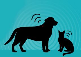 abrevadero de animales zapopan Microchip para Mascotas