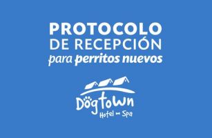 guarderia para perros zapopan Dogtown Hotel & Spa
