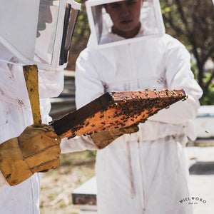 granja apicola zapopan Rancho Miel Oro